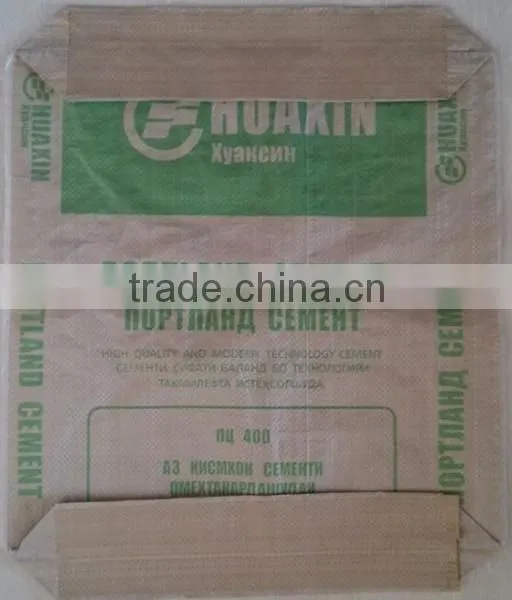 Pp Woven Fabric Valve Bag for Vacuum Bag Cement Valve Bag photo-4