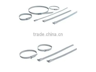 Supply 8*250mm Stainless Steel Cable Tie /Stainless Steel Band photo-4