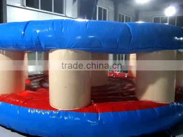 Popular Whack-a-mole Durable Inflatable Sport Games for Sale photo-3