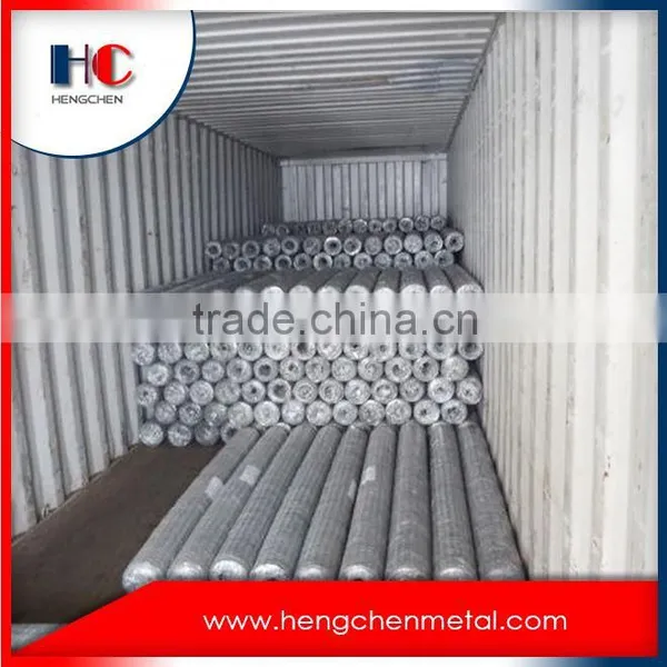 Electro Galvanized Hexagonal Wire Mesh photo-3