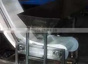 Paintball and Softgel Capsule Sorting Machine With Conveyor Under Sorting Rollers photo-4