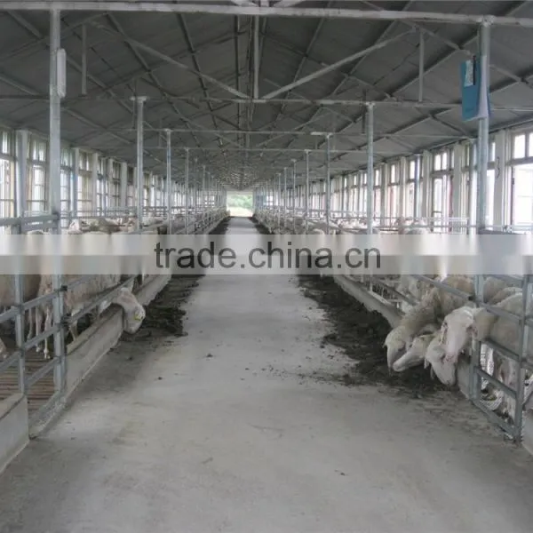Steel Structure Horse House photo-6