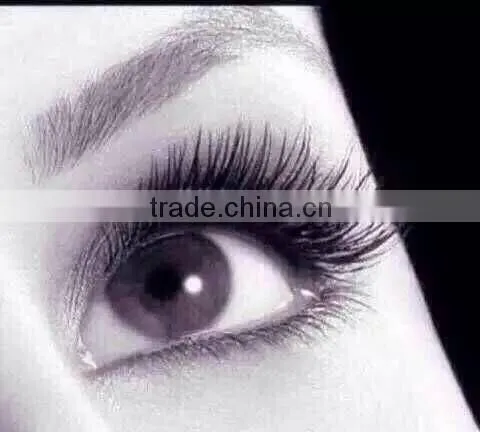 Eyelash Glue Wholesale Guangdong Glue Orginal From Korea photo-2