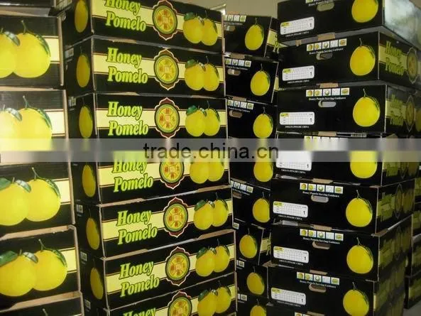 New Crop Pomelo photo-2