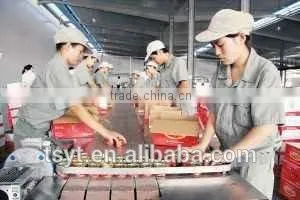 One of Biggest of Manufacture 28-30% Canned Easy Open Lid Hard Open Tin Tomato Paste photo-6