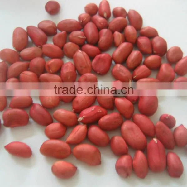 Wholesale Big Size Blanched Peanut Kernels(ground Nut Seeds) photo-6