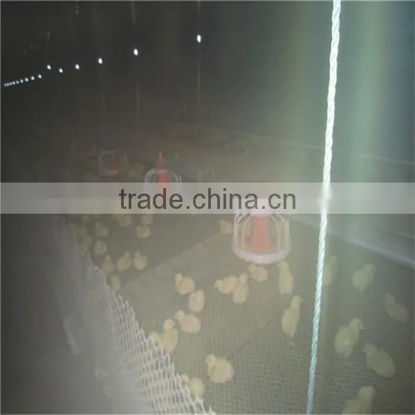 Automatic Chicken Broiler Feeding System photo-2