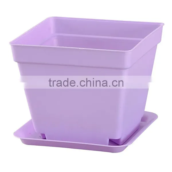 Cheap Square Black Plastic Plant Flower Nursery Pot 10*8.5cm photo-5