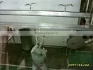 meat processing machine