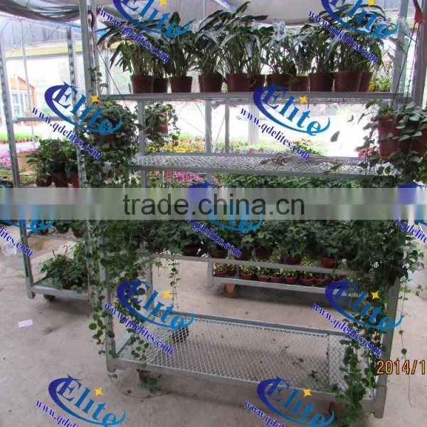 Qingdao Rolling Pallet Display Flower Trolley photo-2