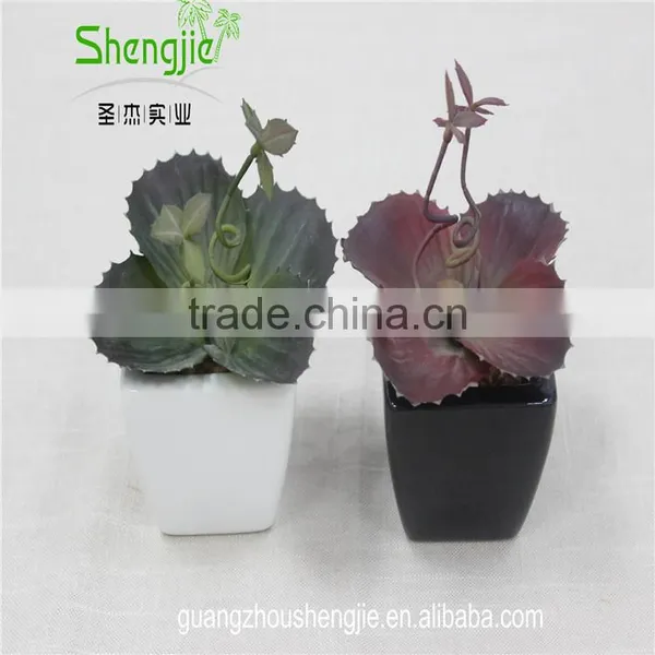 SJLJ013384 Artificial Plant / Fake Plastic Succulent Plant for Office / Restaurant Decoration photo-3