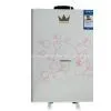 Gas Water Heater 06/Energy-saving Solar Water Heater