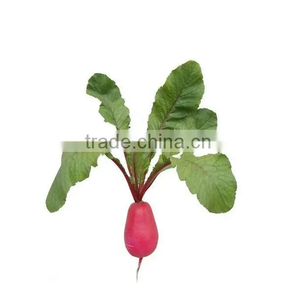 Food Additives Radish Red Pigment photo-3