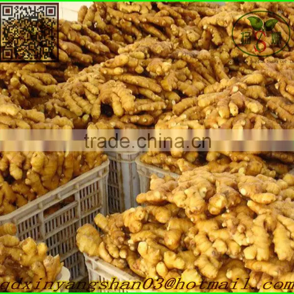 (HOT) Chinese Normal White Garlic photo-4