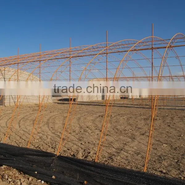 Commercial Multi Span Vegetable & Flower Greenhouse photo-4