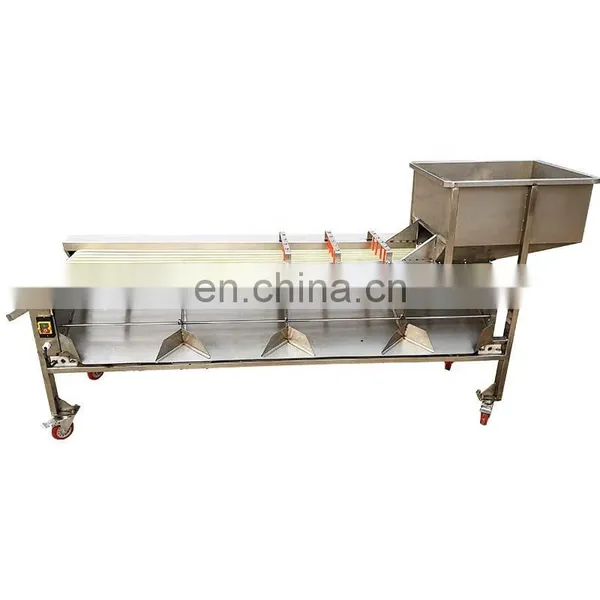 Apple Grading Machine/Potato Sorting Machine/Apple Sorting Machine. photo-4