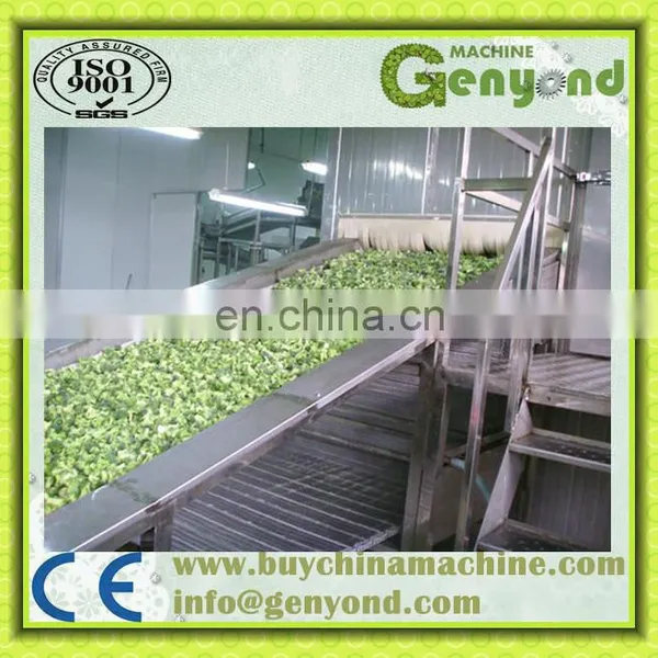 Quick Freezing Machine for Frozen Food photo-5