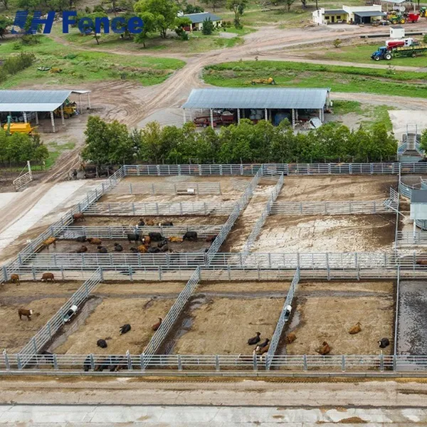 Rust-Proof Cattle Panels: Advanced Coating Ensures Decades of Maintenance-Free Durability in All Climates photo-2