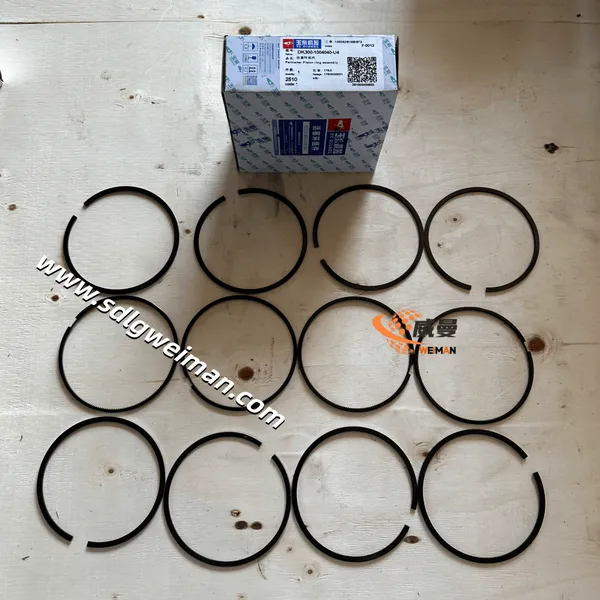 YUCHAI Plston ring assembly DK300-1004040-U4 for YUCHAI excavator