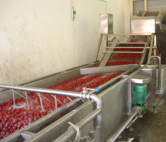 Strawberry Cleaning Machine Strawberry Cleaning Machine Production Line