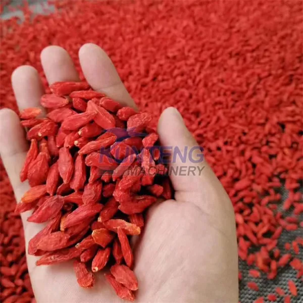 Industry Food Dehydrator Pineapple Seafood Cardamom Herb Mesh Belt Conveyor Dryer Saffron Lotus Seed Drying Machine Equipment EPC photo-2