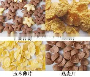 Cornmeal and Cornflakes Processing Line photo-3
