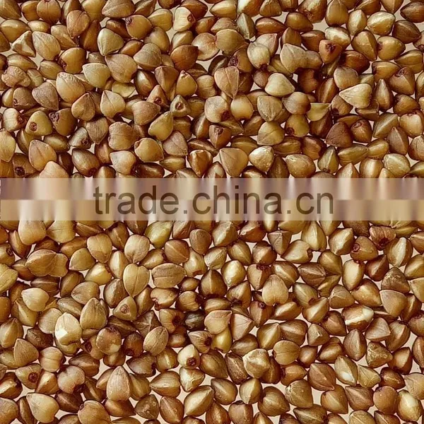 Roasted Buckwheat From China photo-2