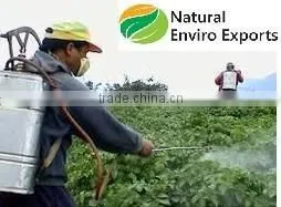 Pure Organic Certified Neem Oil ; Organic Pure Certified Neem Oil photo-3