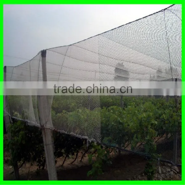 Grape Hail Protection Net/resist Hail Mesh/woven Anti Hail Net photo-2