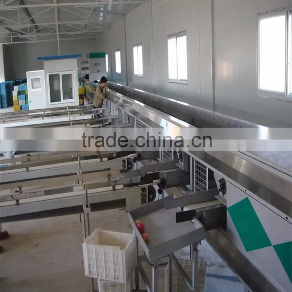 Mango Washing and Grading Machine photo-3
