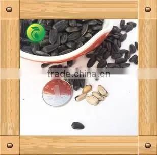 Sunflower Seeds for Birds Small Seed High Oil Content photo-3