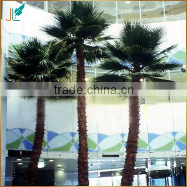 Indoor Preserved Washingtonia Palm Tree Fake Tropical Big Palm Tree photo-4