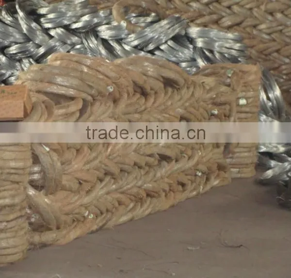 Electro Galvanized Technique and Binding Wire/galvanized Iron Wire photo-5