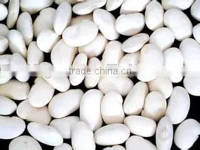 Chinese Medium White Kidney Beans for Sale Quality Choice photo-5
