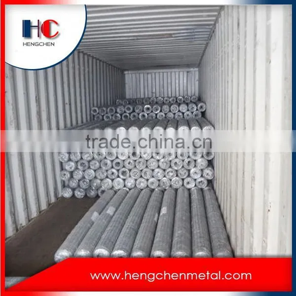 Buy Hexagonal Poultry Wire Netting photo-3