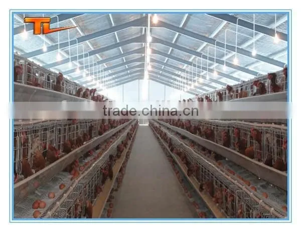 Prefabricated Building Steel Chicken Farm photo-2