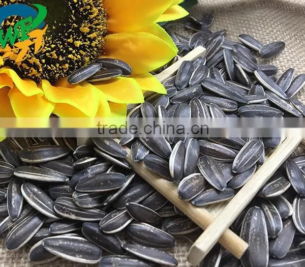Sunflower Seeds 3638 photo-2
