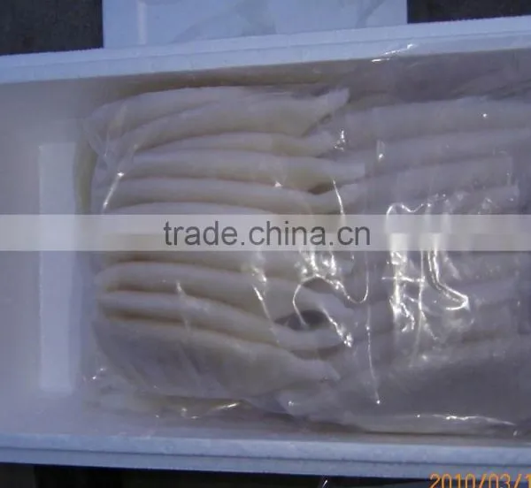 Frozen Squid photo-4