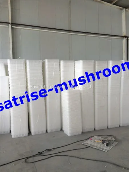 Hot Sale Safe PP Compartment Disposable Frozen Mushroom Trays photo-3