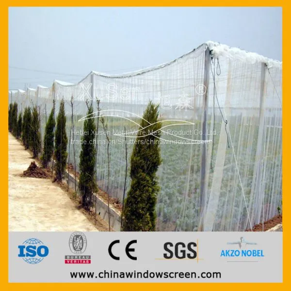 Insect Screen for Greenhouse photo-5