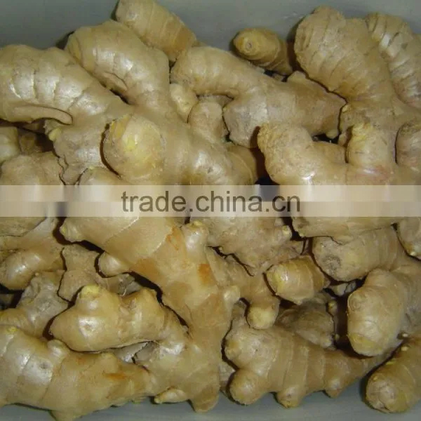 Fresh Ginger photo-2