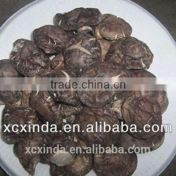 2015 1st New Dried Tea Flower Mushroom,shiitake Mushroom
