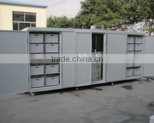 Full Automatic Hydroponic Organic Bean Sprouts Machine photo-2