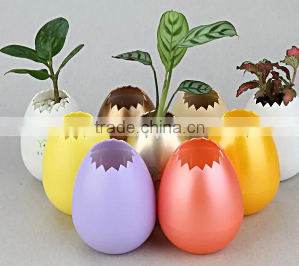 UV Oil Coated Colorful Shell Planter From Oem Factory photo-6