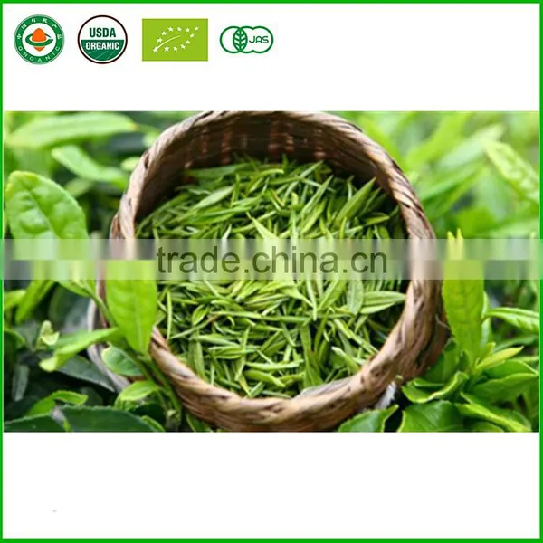 2017 Certified Organic Green Tea Famous Loose Tea photo-2