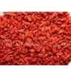 Lycium Chinense Extract