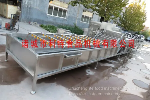 Raisin Washing Line Raisin Cleaner Raisin Processing Equipment photo-3
