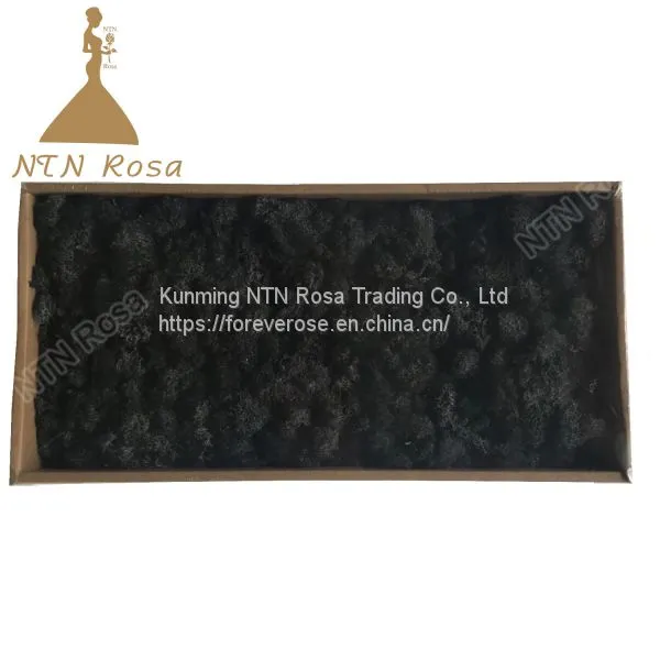 Preserved Forest Moss for Hotel or Office Decoration photo-5