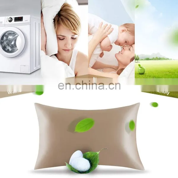 2020 Top Sell 100% 22mm Mulberry Silk Pillowcase Plain With Zipper photo-6