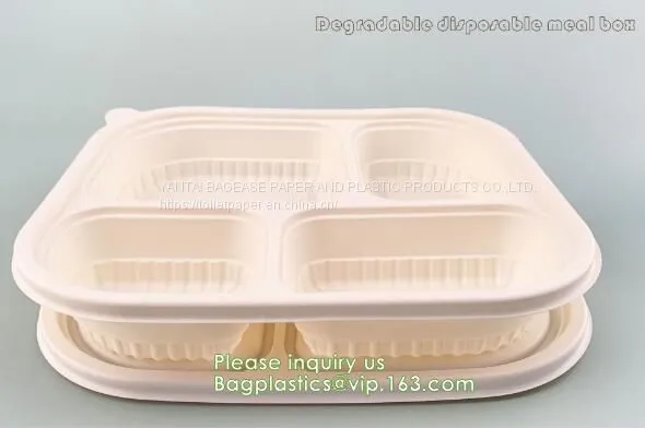 Corn Starch Plastic Round Food Tray Food Tray With Lid Biodegradable Plastic Meal Prep Tray Bio Disposable Corn Starch photo-5